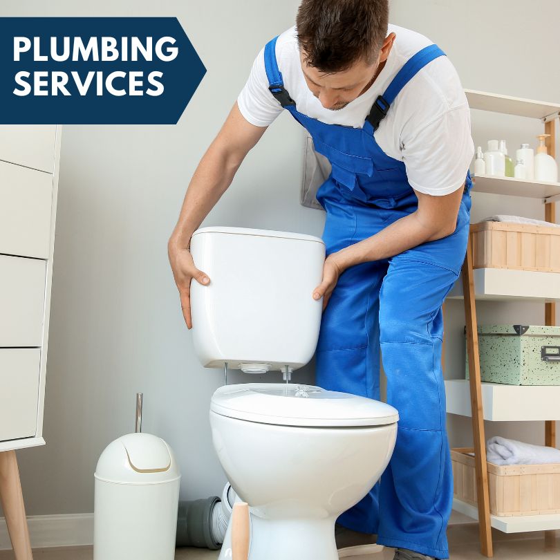 Plumbing Company in Earleton, FL
